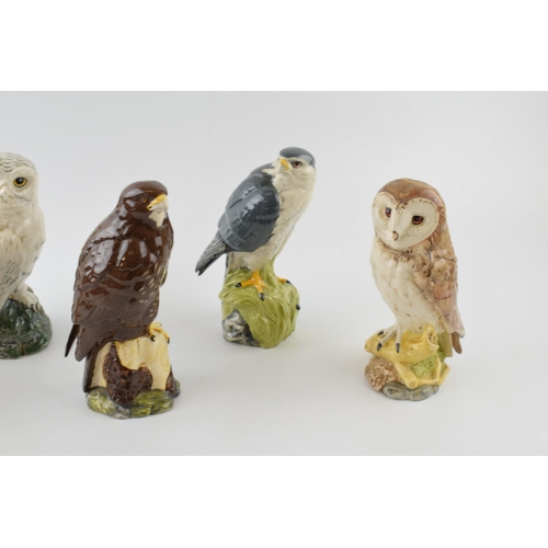 86 - A collection of Royal Doulton Whyte & Mackay bird whisky decanters to include a Merlin, a Buzzard, a... 