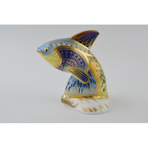 1 - Royal Crown Derby paperweight, from the Tropical Fish Series, Guppy, 12cms, this is number 120 of a ... 