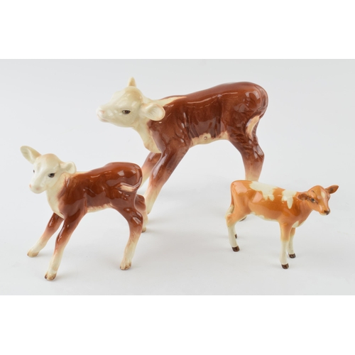 96A - A trio of Beswick calves to include a Guernsey Calf 1249A, a Hereford Calf 854 and a similar 901B (3... 