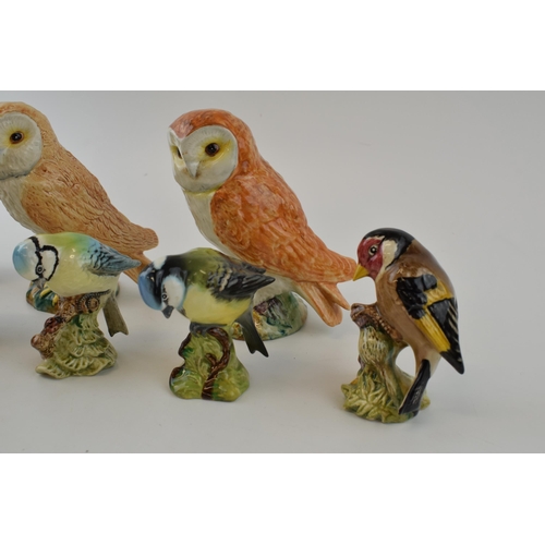 207 - A collection of Beswick birds to include, Blue Tit, Gold Finch, Great Tit, Chaffinch, Greenfinch, St... 