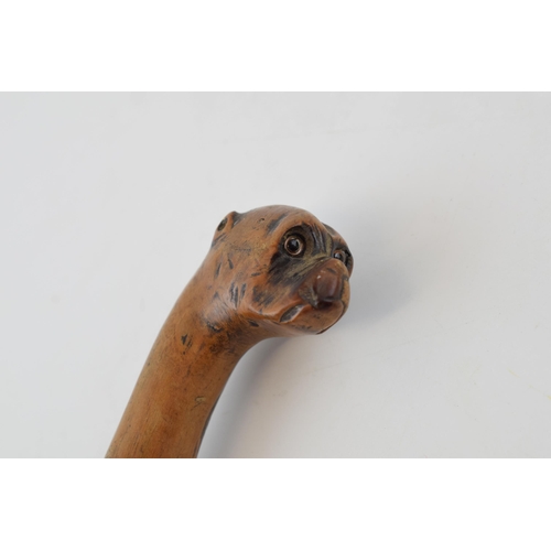 476 - Folk Art walking stick with naively carved head on a Boxer dog with glass eyes and original ferrel. ... 