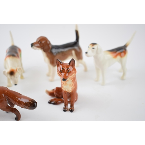 65D - Beswick to include a beagle, 4 various foxhounds and 2 foxes (7).