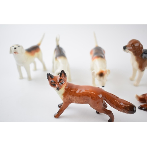 65D - Beswick to include a beagle, 4 various foxhounds and 2 foxes (7).