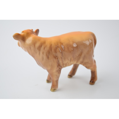 95U - Beswick Highland Calf 1827D.