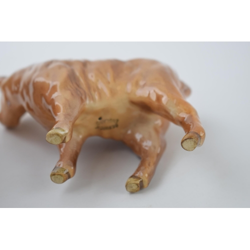 95U - Beswick Highland Calf 1827D.