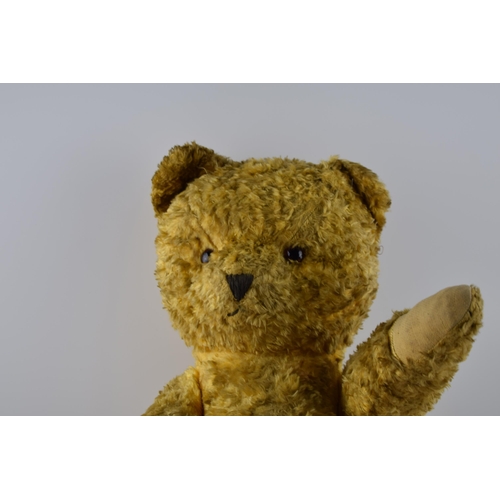 309A - Large Edwardian teddy bear with moving joints and a voicebox, 57cm long.