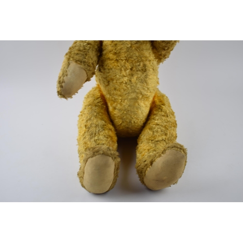 309A - Large Edwardian teddy bear with moving joints and a voicebox, 57cm long.