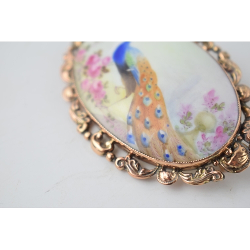 206 - C Gresley hand painted miniature oval brooch with a peacock amongst foliage, in 9ct gold mount, 60mm... 