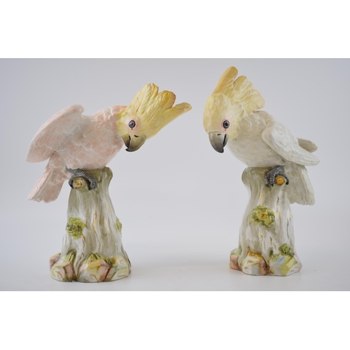 A pair of Meissen figures in the forms of a cockatoo, circa 1900, naturalistically modelled, crossed swords mark in blue, 26.5cm high tallest, both with incised numbers, with original paper retailers label 'T Goode & Co, South Audley Street, London (2).