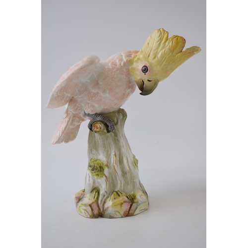 125 - A pair of Meissen figures in the forms of a cockatoo, circa 1900, naturalistically modelled, crossed... 