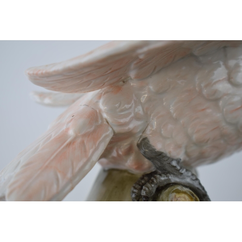 125 - A pair of Meissen figures in the forms of a cockatoo, circa 1900, naturalistically modelled, crossed... 