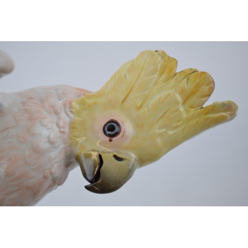 125 - A pair of Meissen figures in the forms of a cockatoo, circa 1900, naturalistically modelled, crossed... 