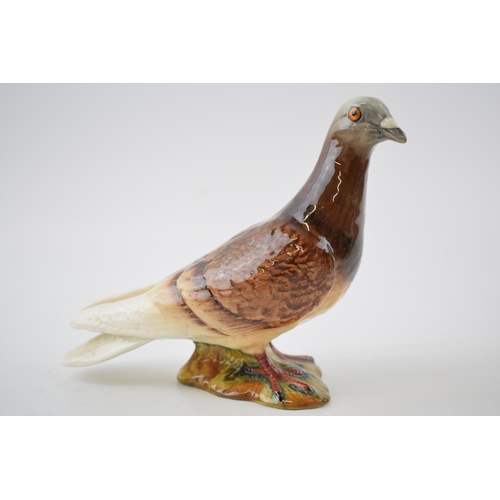 62B - Beswick brown pigeon 1383.