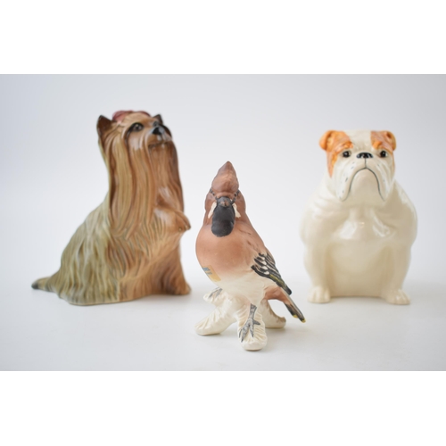 62C - Beswick Bulldog together with a Yorkshire Terrier with raised paw (second) together with a Goebel wa... 