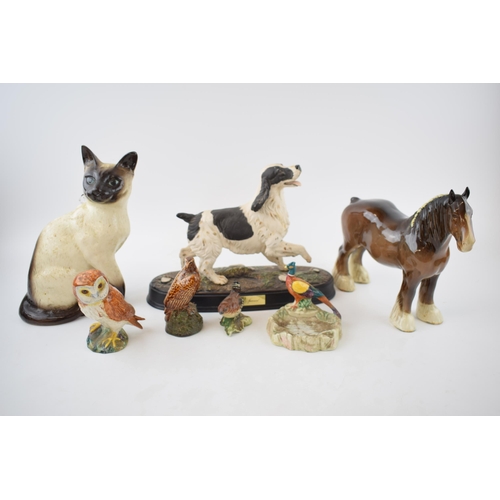 62G - Beswick to include a brown 818 shire, large Siamese cat, spaniel on base (chip to foot) with birds e... 