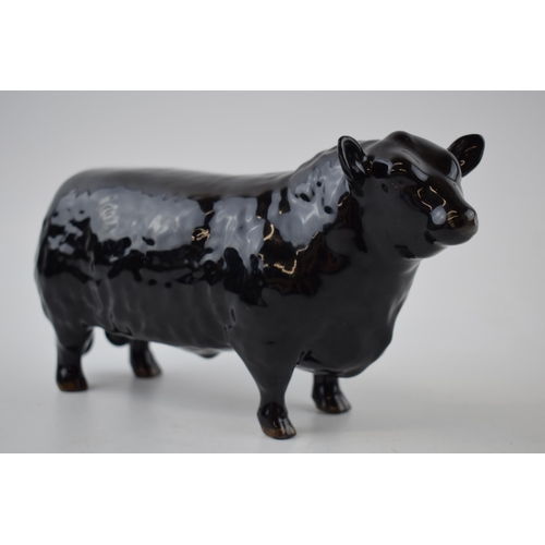 74P - Beswick Aberdeen Angus Bull 1562.