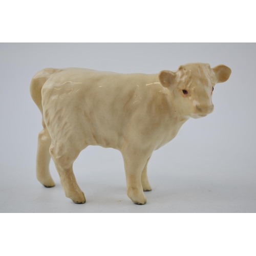 74S - Beswick Charolais Calf 1827B.