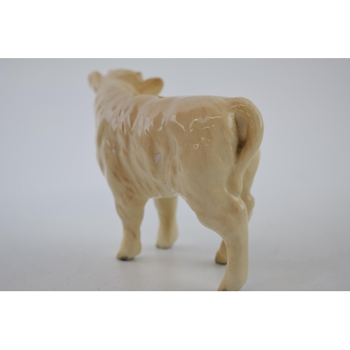 74S - Beswick Charolais Calf 1827B.