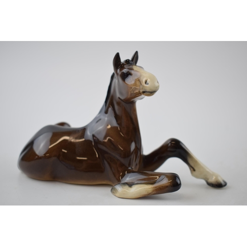 74V - Beswick Shire Foal lying 2460.