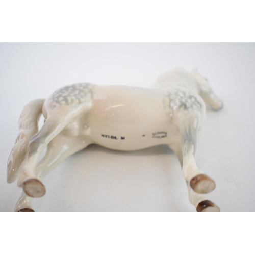 74Y - Beswick Welsh Mountain Pony in Grey 1643.