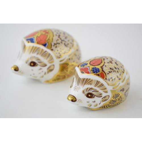 32 - Two Royal Crown Derby paperweights, Hawthorn (Mother) Hedgehog and Bramble (Baby) Hedgehog, both wit... 