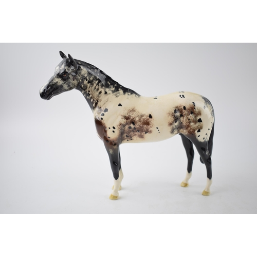 74 - Beswick (Royal Doulton) Appaloosa Horse 1772. 20cm tall.