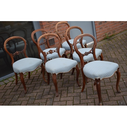 507 - A matched set of 6 Victorian balloon back dining chairs with blue upholstery (6), 88cm tall.