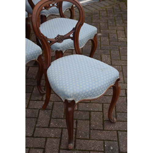 507 - A matched set of 6 Victorian balloon back dining chairs with blue upholstery (6), 88cm tall.