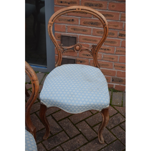 507 - A matched set of 6 Victorian balloon back dining chairs with blue upholstery (6), 88cm tall.