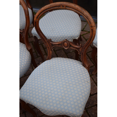 507 - A matched set of 6 Victorian balloon back dining chairs with blue upholstery (6), 88cm tall.