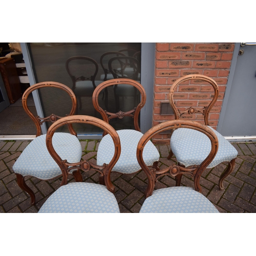 507 - A matched set of 6 Victorian balloon back dining chairs with blue upholstery (6), 88cm tall.