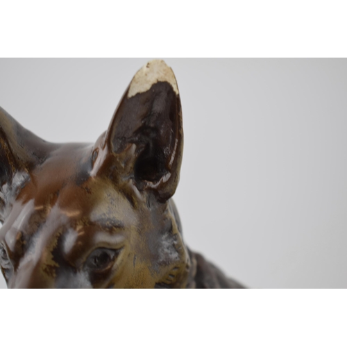 328 - Mid century plaster model of a lying alsatian, with impressed signature / reg number, 40cm long.