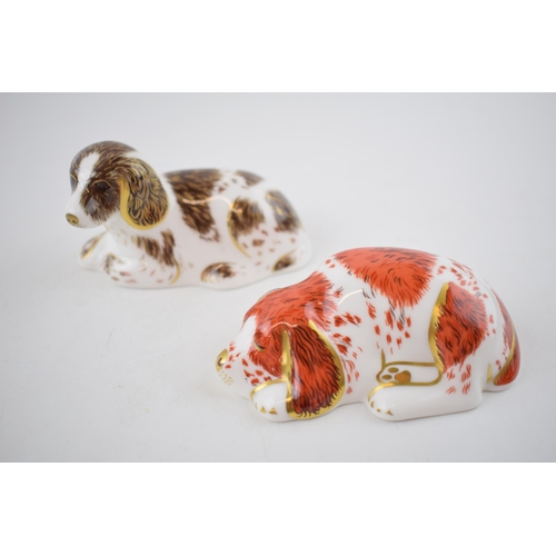 69 - Royal Crown Derby paperweight of a Puppy and Scruff the Puppy, first quality with gold stoppers (2).