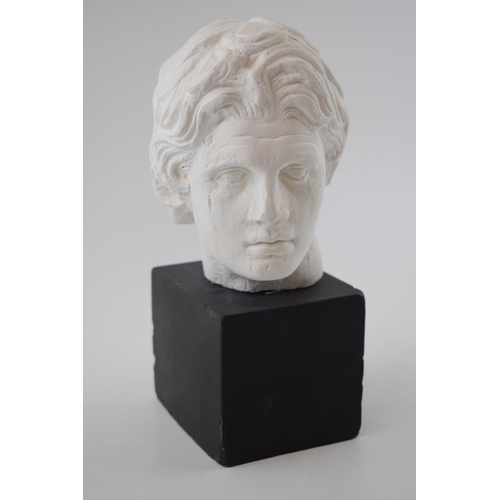 261 - A plaster bust of gentleman on plaster plinth. Possibly a maquette for a larger work in bronze. 25cm... 