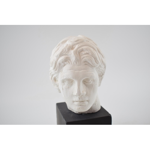 261 - A plaster bust of gentleman on plaster plinth. Possibly a maquette for a larger work in bronze. 25cm... 