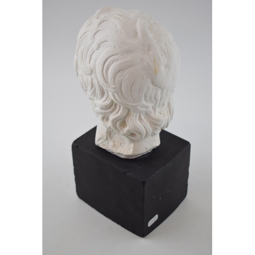 261 - A plaster bust of gentleman on plaster plinth. Possibly a maquette for a larger work in bronze. 25cm... 