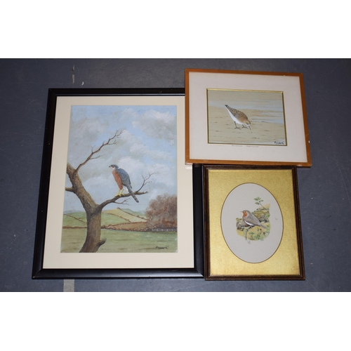 262 - Three original artwork of birds, Temminck's Stint and Sparrowhawk by artist Fishhawk together with a... 