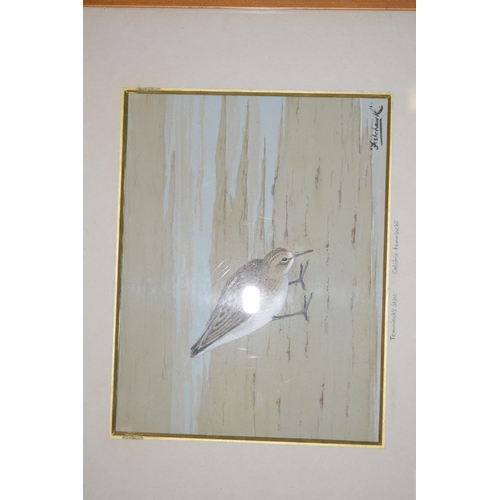 262 - Three original artwork of birds, Temminck's Stint and Sparrowhawk by artist Fishhawk together with a... 