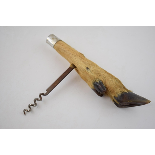 271 - Taxidermy bottle cork screw in the form of a deer's foot, 17.5cm long.