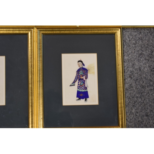 305 - A collection of Chinese School artworks on rice paper in gilt frames. c1880 24 x 29cm (5) together w... 