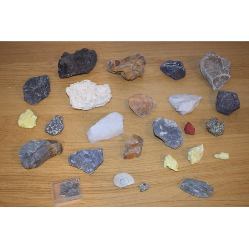 315 - A collection of rock and mineral sample to include sulphur, quartz, fossils and lava. (qty)