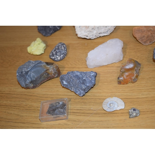 315 - A collection of rock and mineral sample to include sulphur, quartz, fossils and lava. (qty)