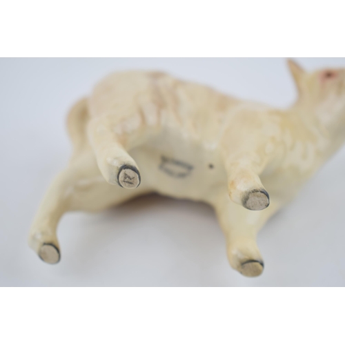 117 - Beswick Charolais Calf 1827B.