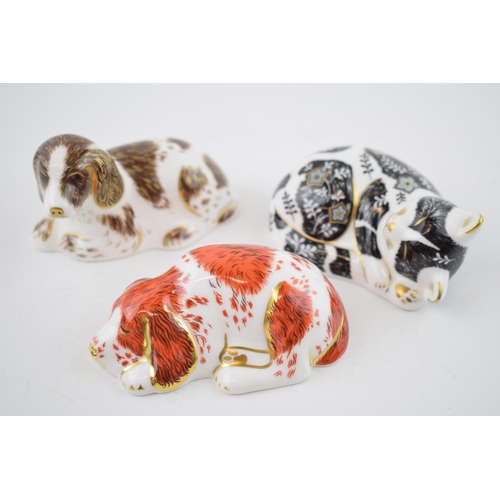 31 - Three Royal Crown Derby Paperweights, Misty Kitten, Puppy and Scruff, all exclusive to the Royal Cro... 