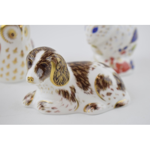 5 - Boxed Royal Crown Derby paperweights to include an Owlet, Scruff the Puppy and a Derby Dormouse, wit... 