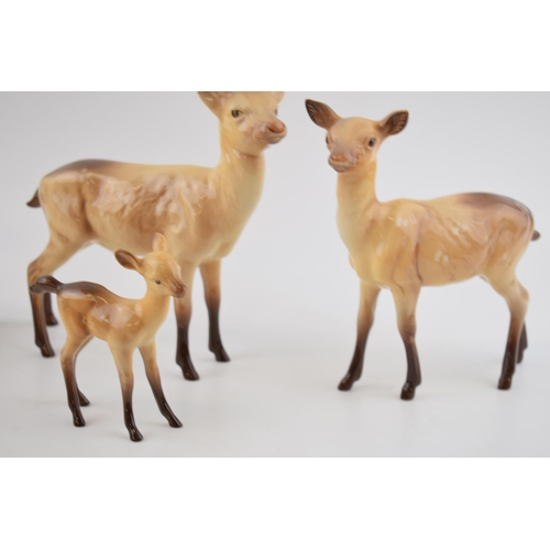 72 - Beswick deers to include a stag, 2 does and a fawn (4).