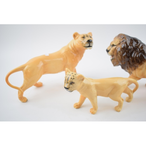 78 - A collection of Beswick Lions to include Lion 2089, Lioness facing left 1507 and Lion cub 1508 (3).