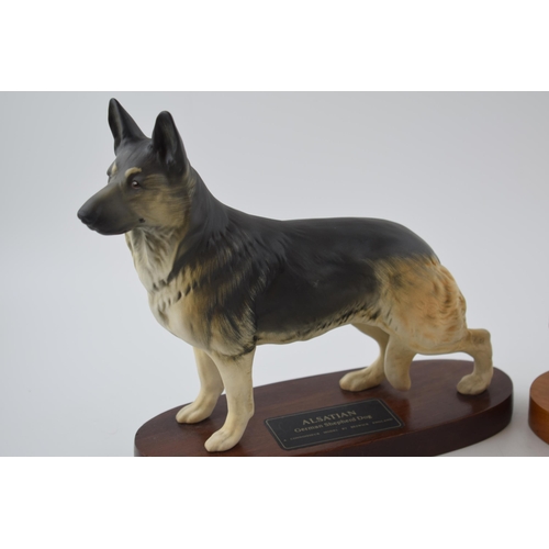 79 - Beswick Connoisseur dogs to include Rough Collie and Alsatian (2), on bases.