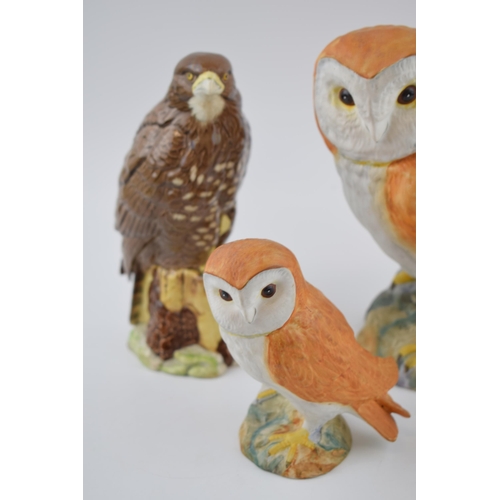 91 - Beswick birds to include matt small and large barn owls, a kestrel (af), a pheasant and a buzzard de... 