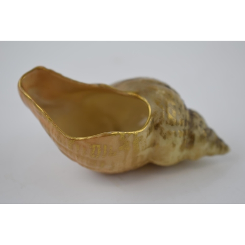 220 - Royal Worcester blush ivory naturalistic shell. 8cm.